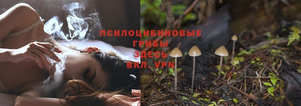 дживик Беломорск