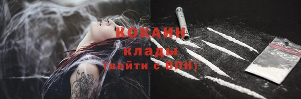 гидра Белоозёрский