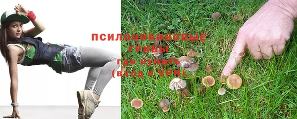 МДПВ Белокуриха