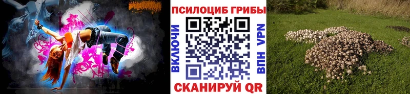 Купить  Вяземский  Псилоцибиновые грибы Psilocybe 